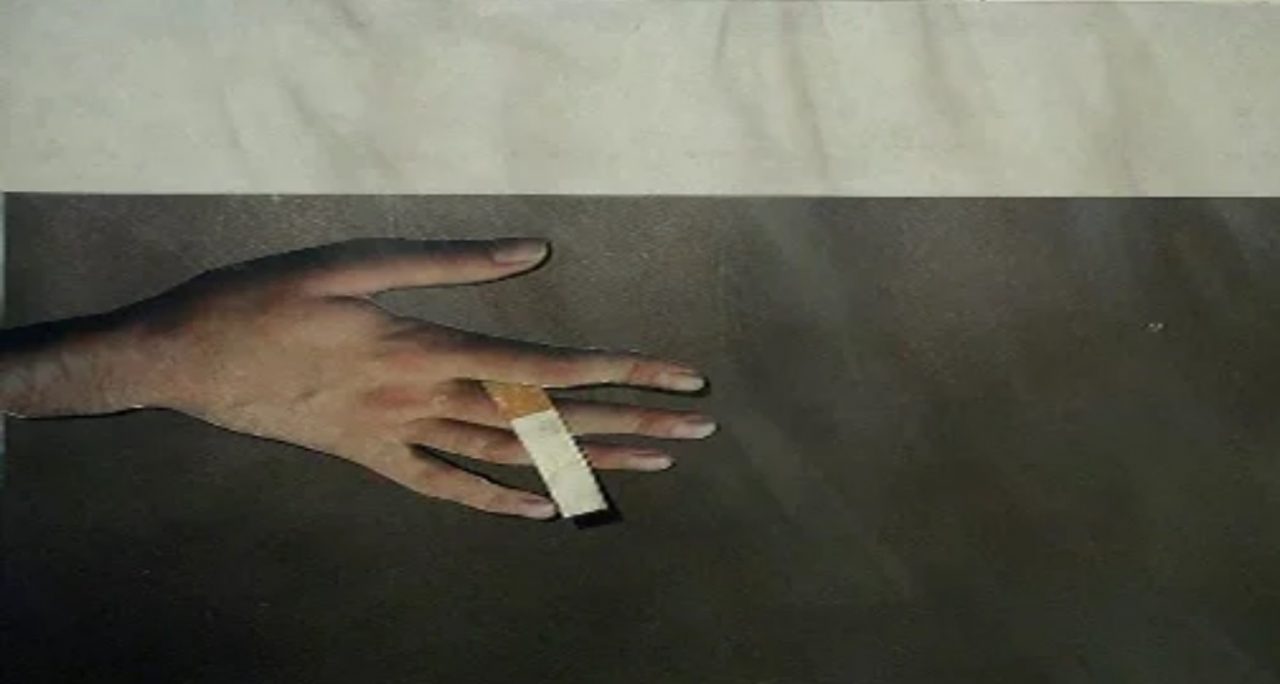 Hands (The final scene) (2003)